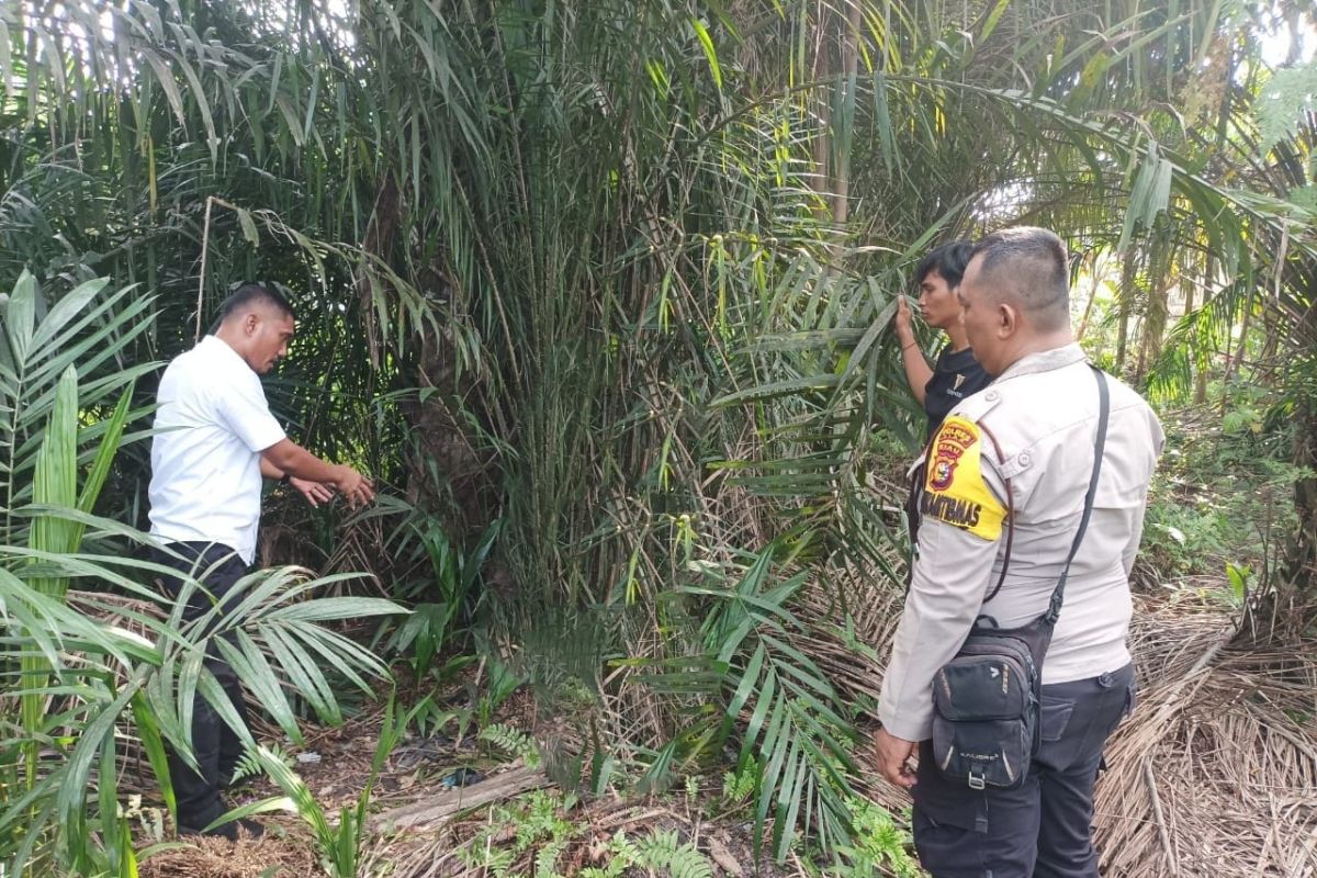 Kabupaten Layak Anak Siak tercoreng, 6 remaja gilir 1 siswi 3 hari berturut-turut