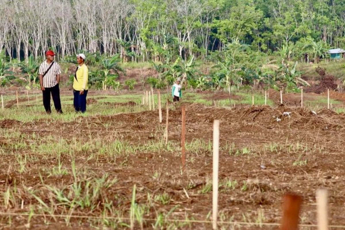 Kalsel siapkan lahan FOLU Net Sink sambut Menteri LHK dan Norwegia