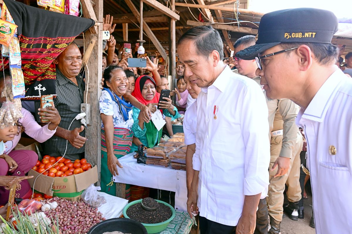 Jokowi checks basic goods' prices at Kalabahi Market in NTT's Alor