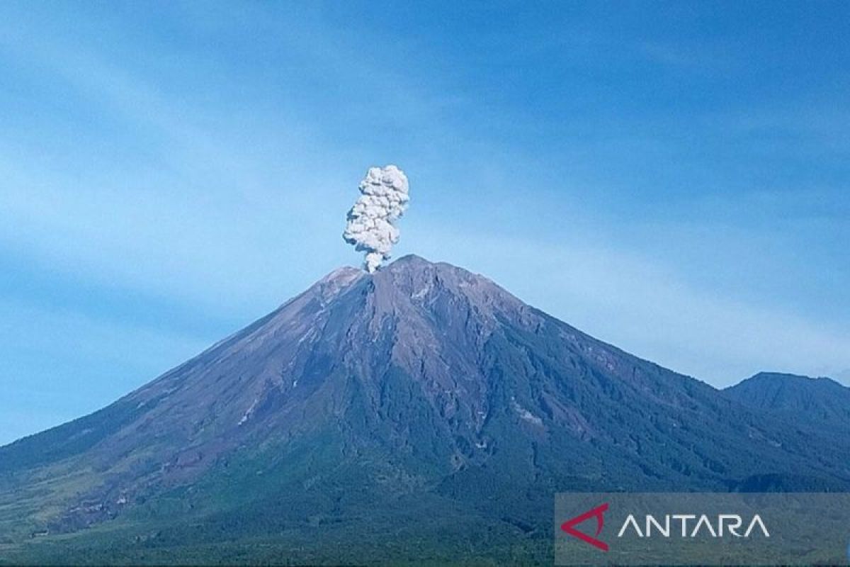 Gunung Semeru beberapa kali erupsi dengan tinggi letusan hingga 1 km