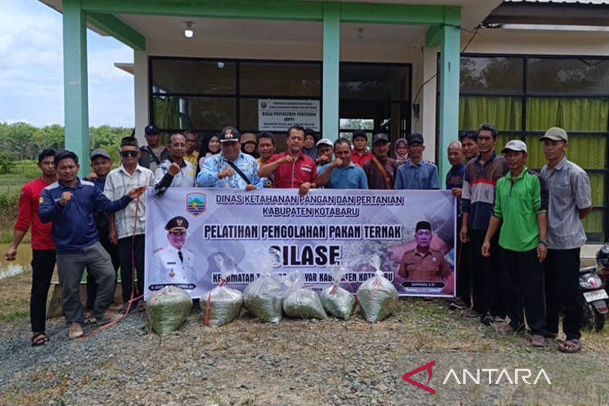 Dinas Ketahanan Pangan dan Pertanian latih peternak buat pakan ternak