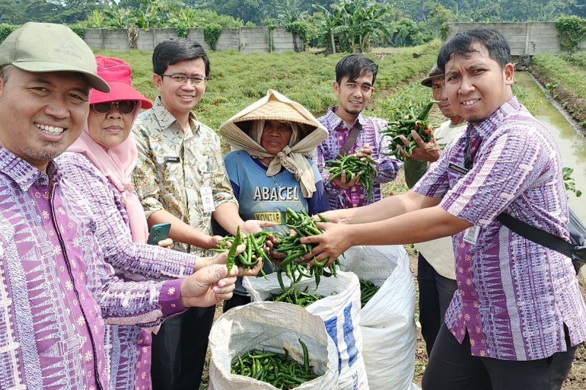 Kendalikan inflasi, DKP Kota Tangerang optimalkan produktifitas petani