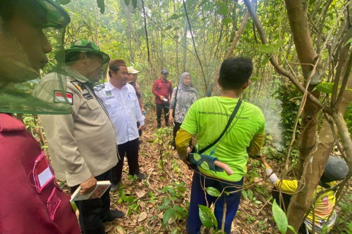 Tim Ahli Indikasi Geografis periksa substantif madu Pelawan Namang Bangka Tengah