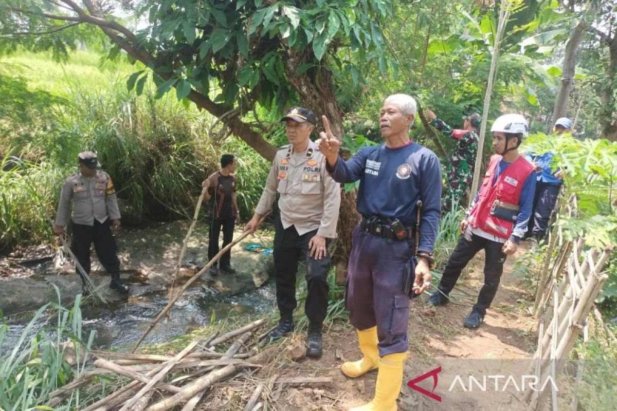 Tim gabungan penyelamatan hewan pastikan tidak ada buaya berkeliaran