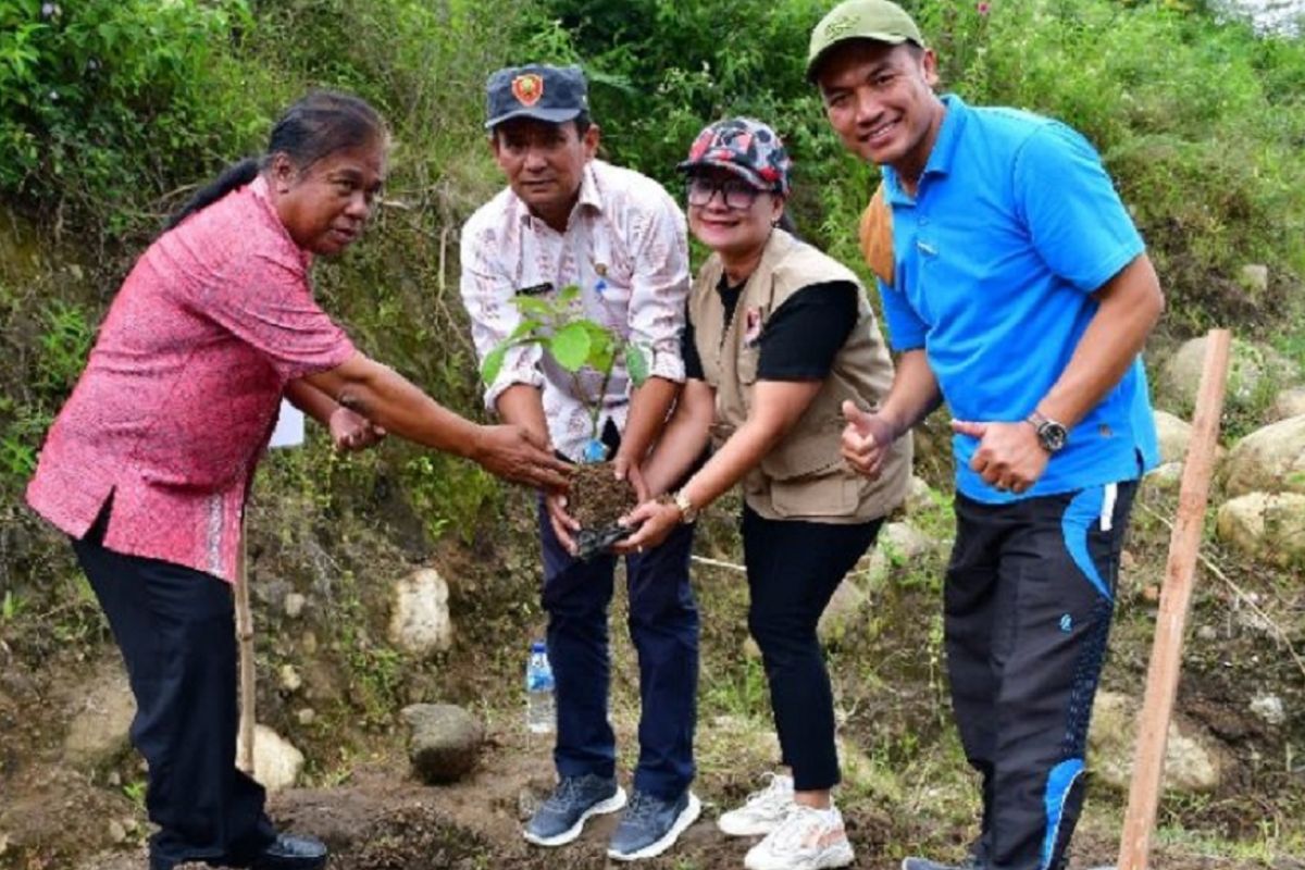 Ribuan pohon di lokasi rawan bencana ditanam Pemkab Samosir