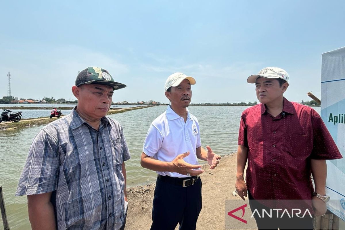 KKP siap memfasilitasi izin edar biostimulan berbasis rumput laut