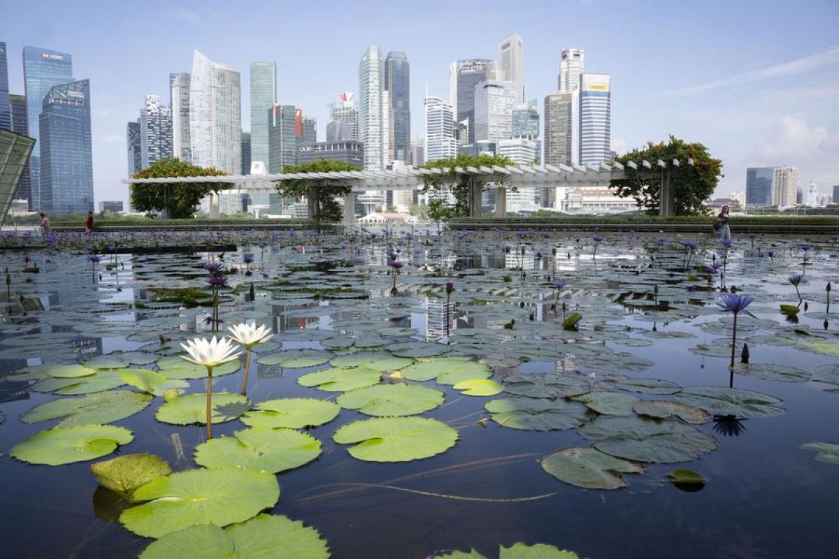 Ekonomi swasta Singapura catat ekspansi dalam 19 bulan beruntun