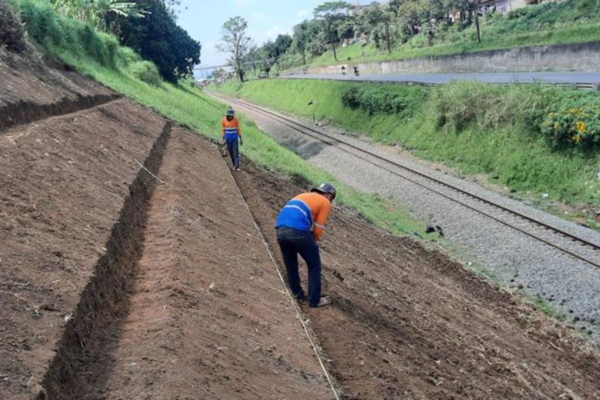 Daop 2 Bandung tanam 9.236 tanaman akar wangi antisipasi longsor akibat curah hujan