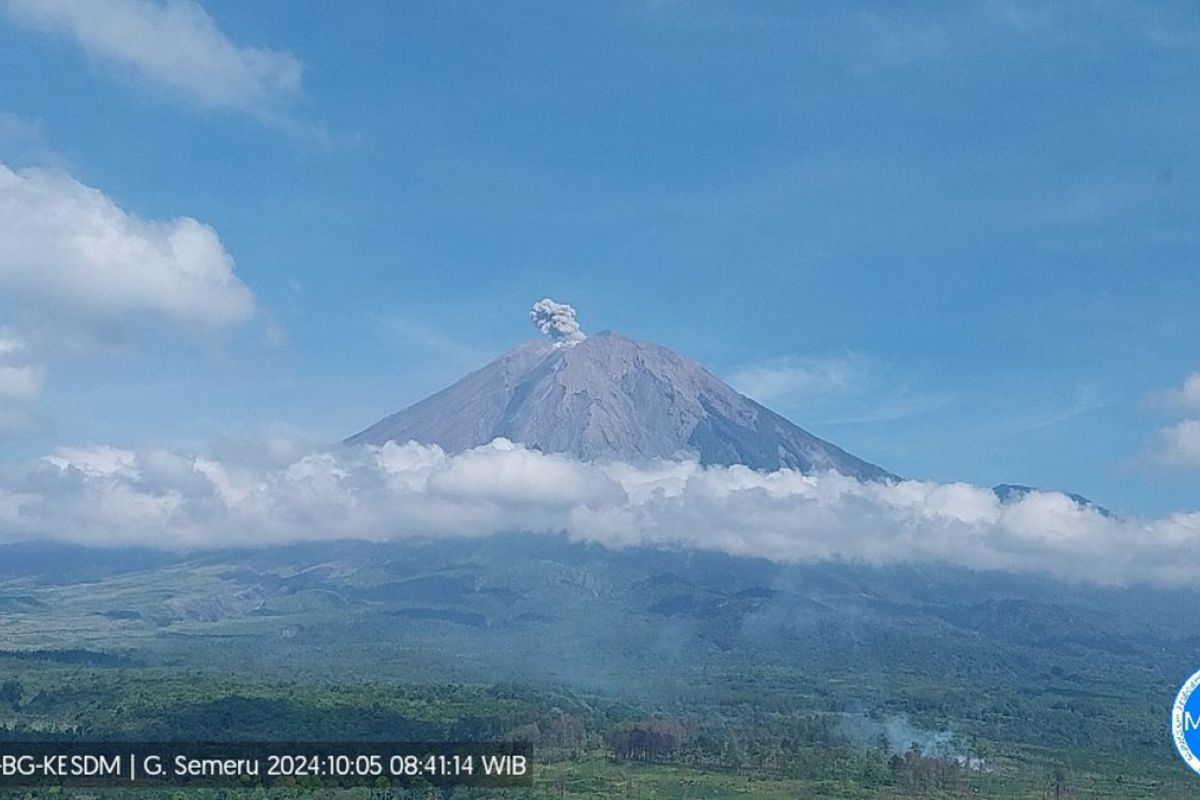 Gunung Semeru erupsi, letusan setinggi 500 meter