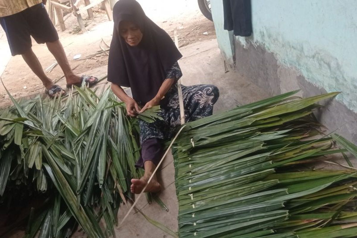 Perajin atap rumbia di Lebak kesulitan bahan baku