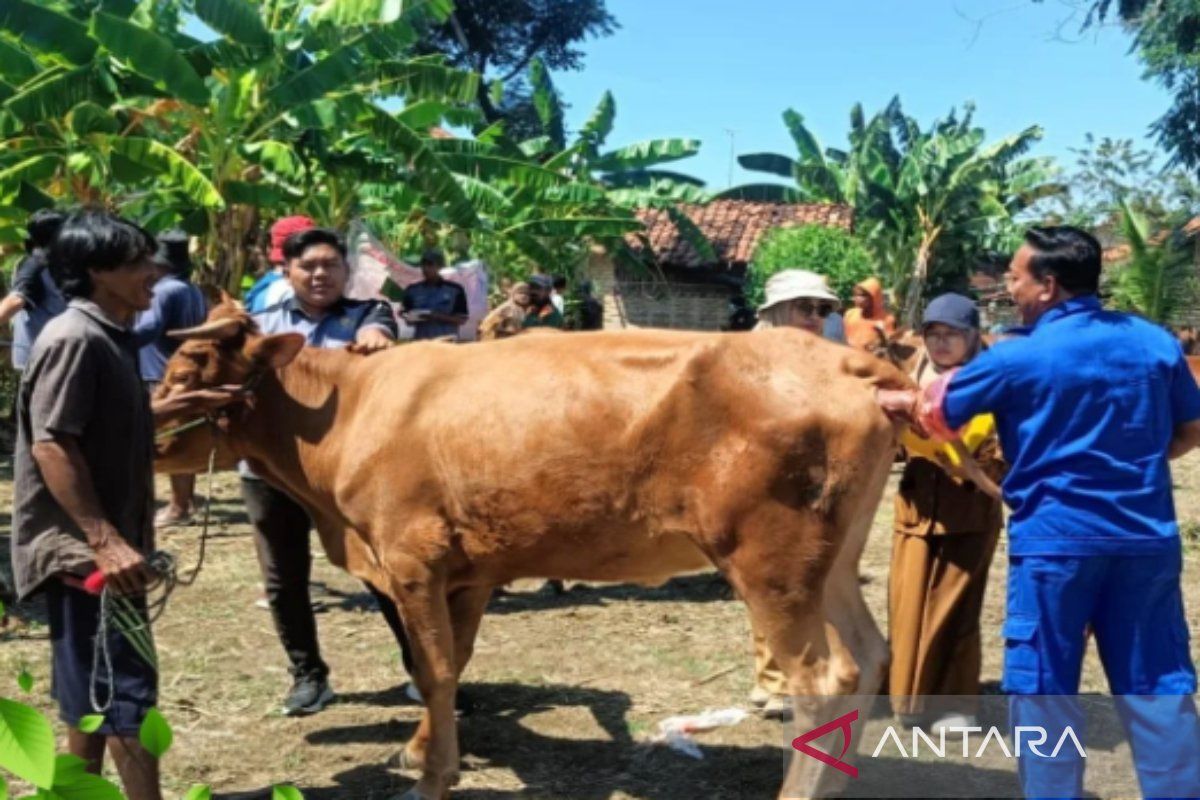 Pemkab Pamekasan ajukan penambahan dokter hewan