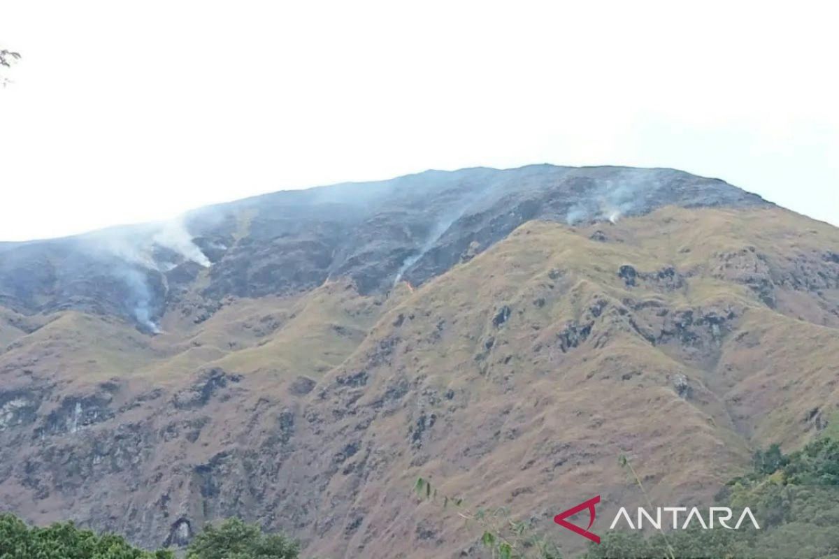 Kebakaran hutan di Rinjani dan Sembalun akibat ulah manusia