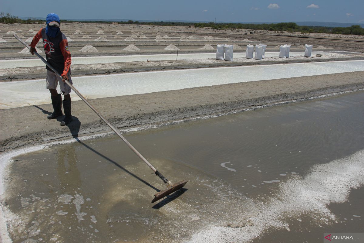 Indonesia plans to stop salt imports by 2027