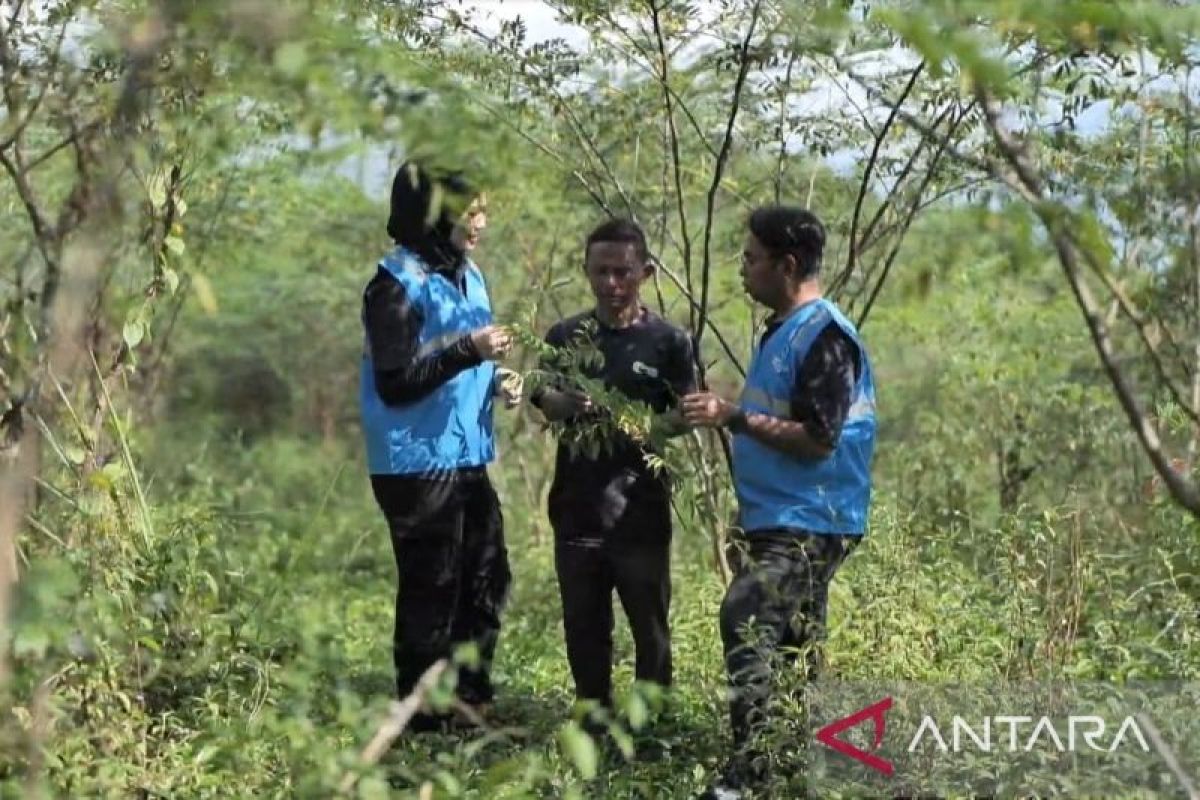 Pengembangan Biomassa PLN di Tasikmalaya: Dikelola masyarakat, didukung pemerintah