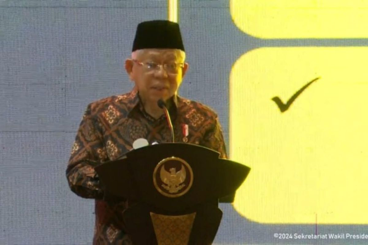 Indonesia shows progressive result in achieving SDGs: Vice President