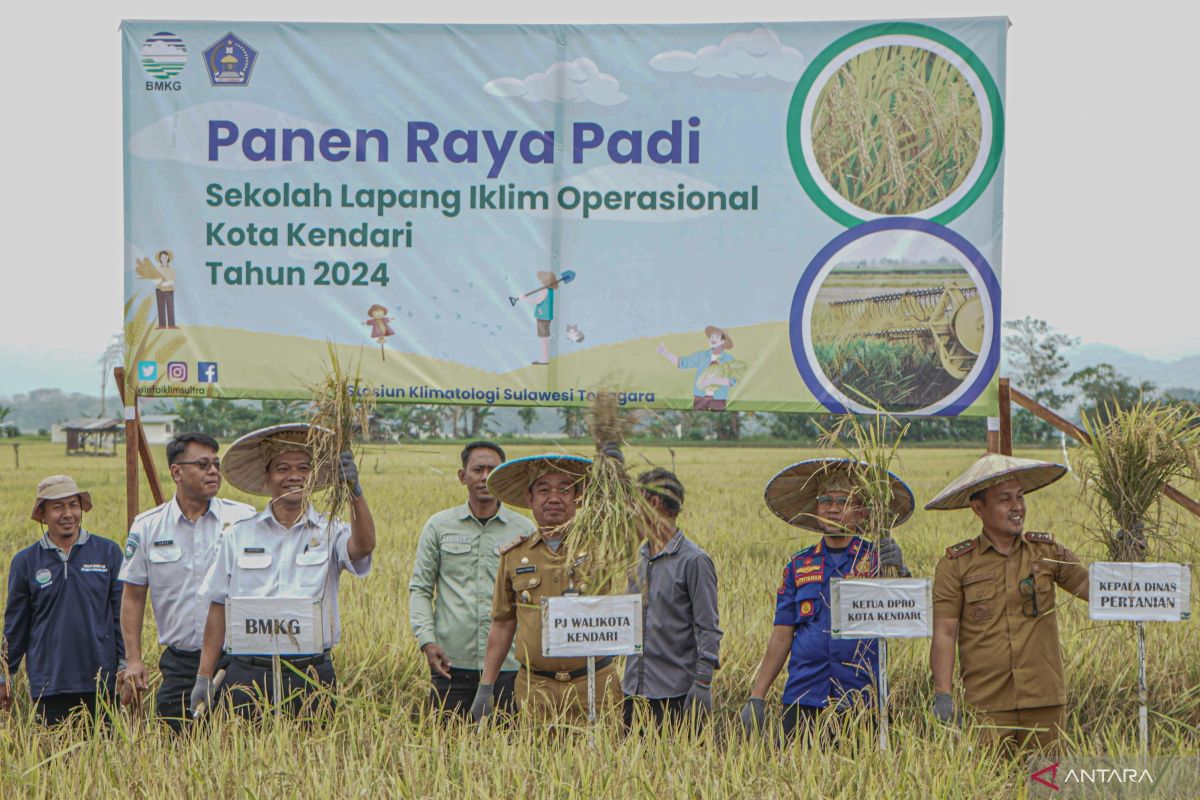 Pemkot Kendari panen raya padi hasil sekolah lapang iklim