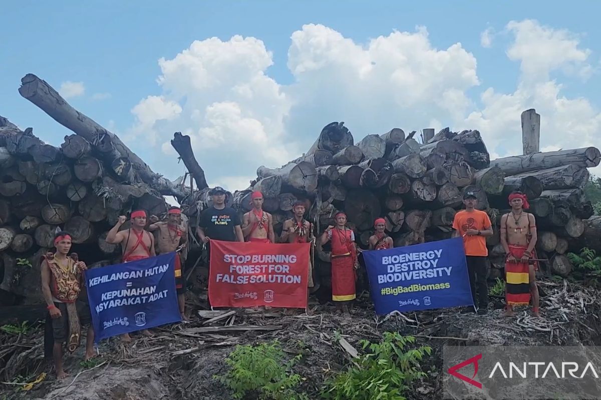 Masyarakat adat di Ketapang desak KLHK tindak PT Mayawana Persada