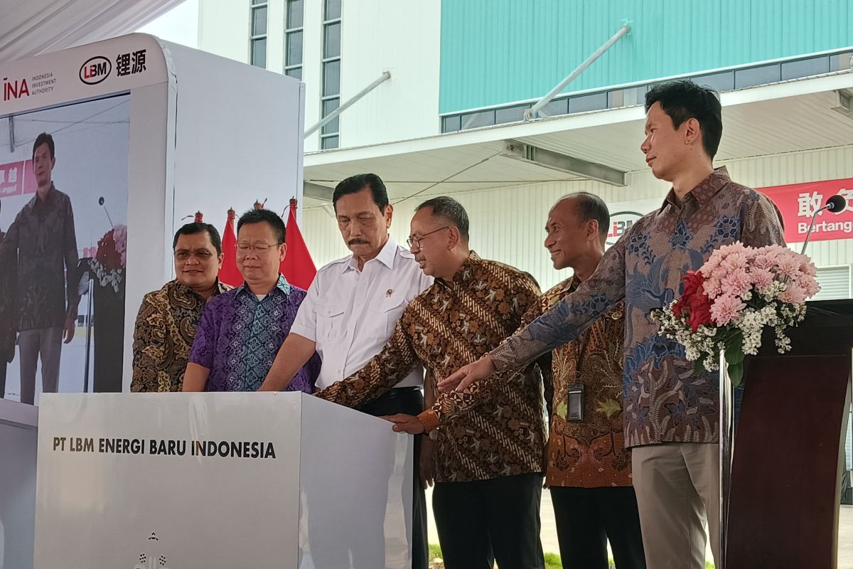 Luhut echoes Indonesia's halt in EV battery raw material exports