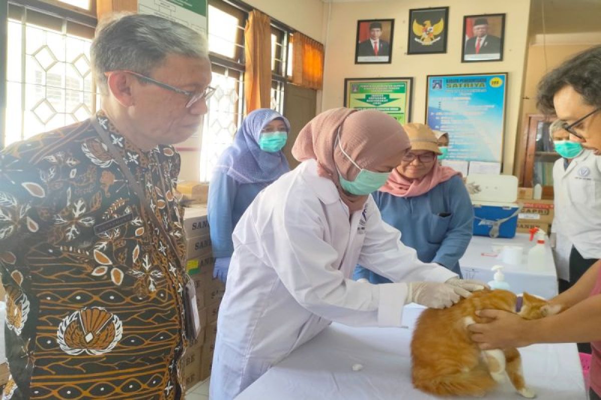 DP3 Sleman meningkatkan kewaspadaan penyebaran rabies