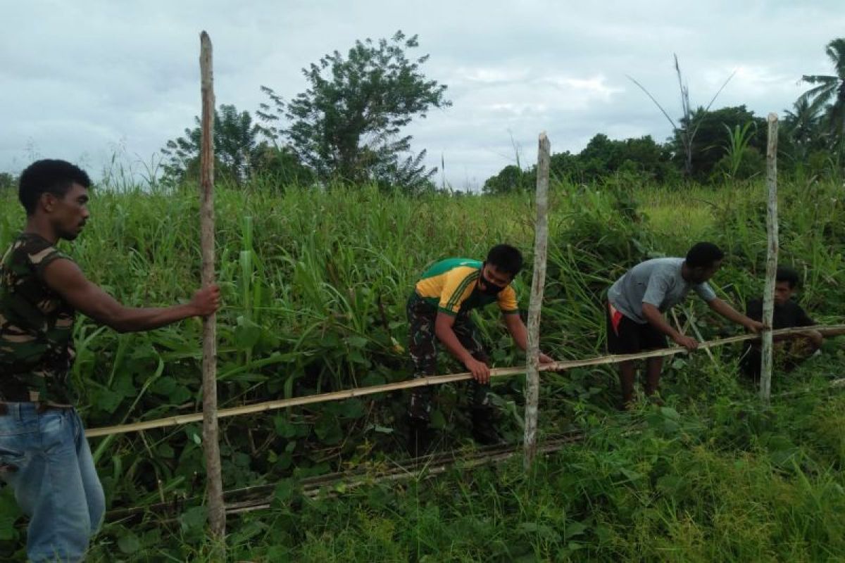 Korem Baabullah bersama petani tanam jagung wujudkan ketahanan pangan