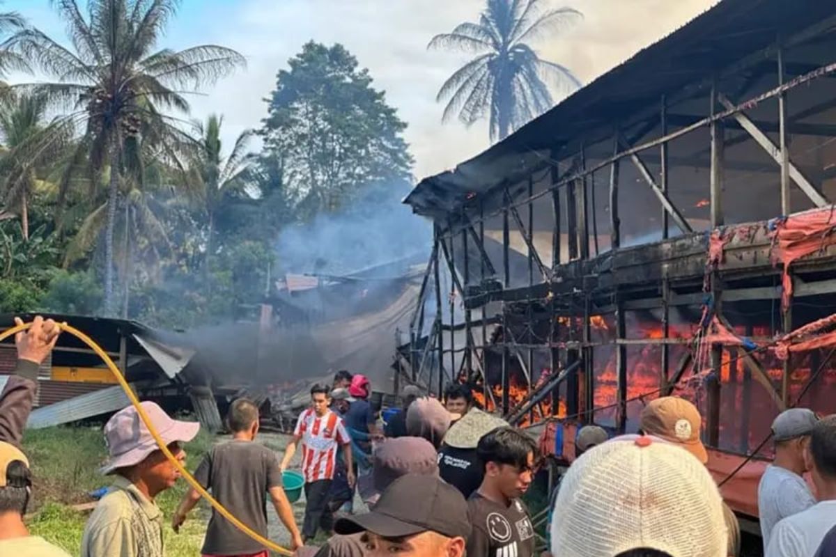 8 ribu ayam mati terpanggang akibat kebakaran di Kolaka