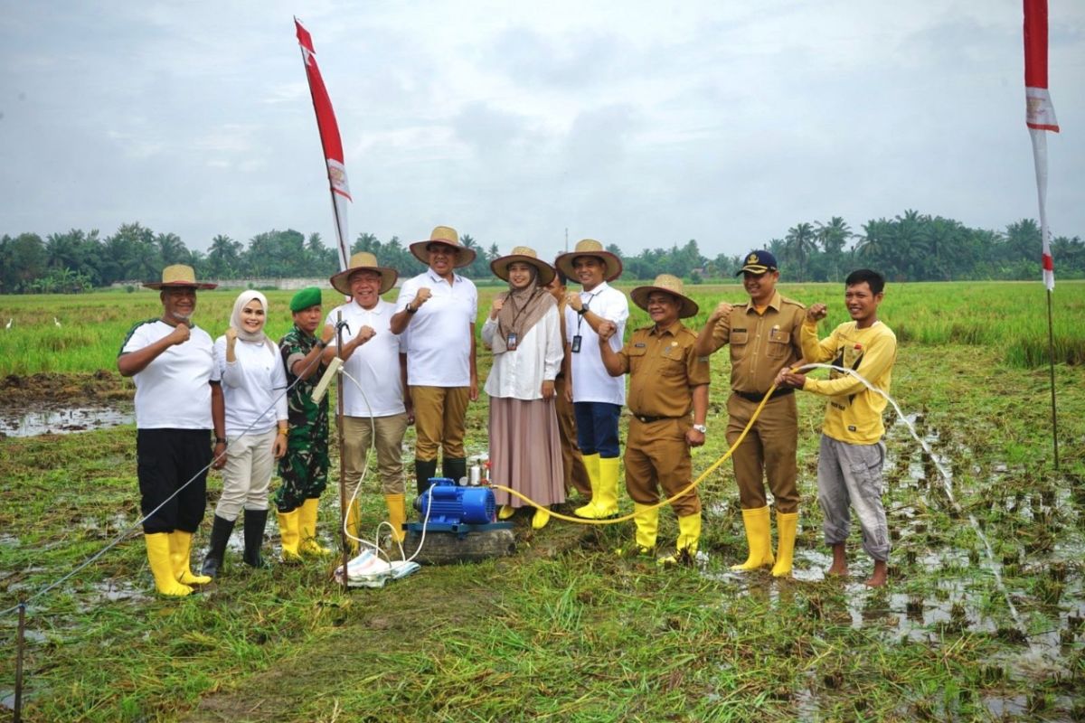 Pj Bupati Langkat resmikan listrik masuk sawah di Kecamatan Binjai