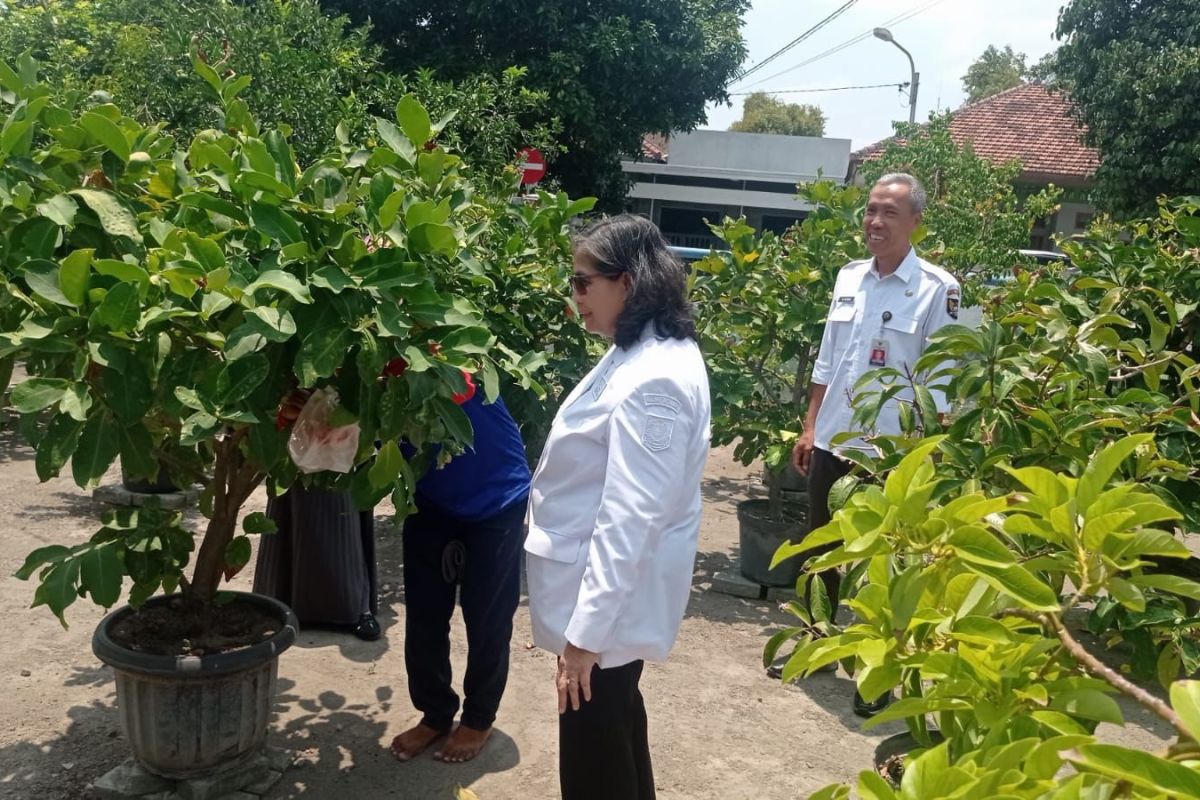 Pemkot Kediri beri pendampingan pemanfaatan lahan untuk tanaman