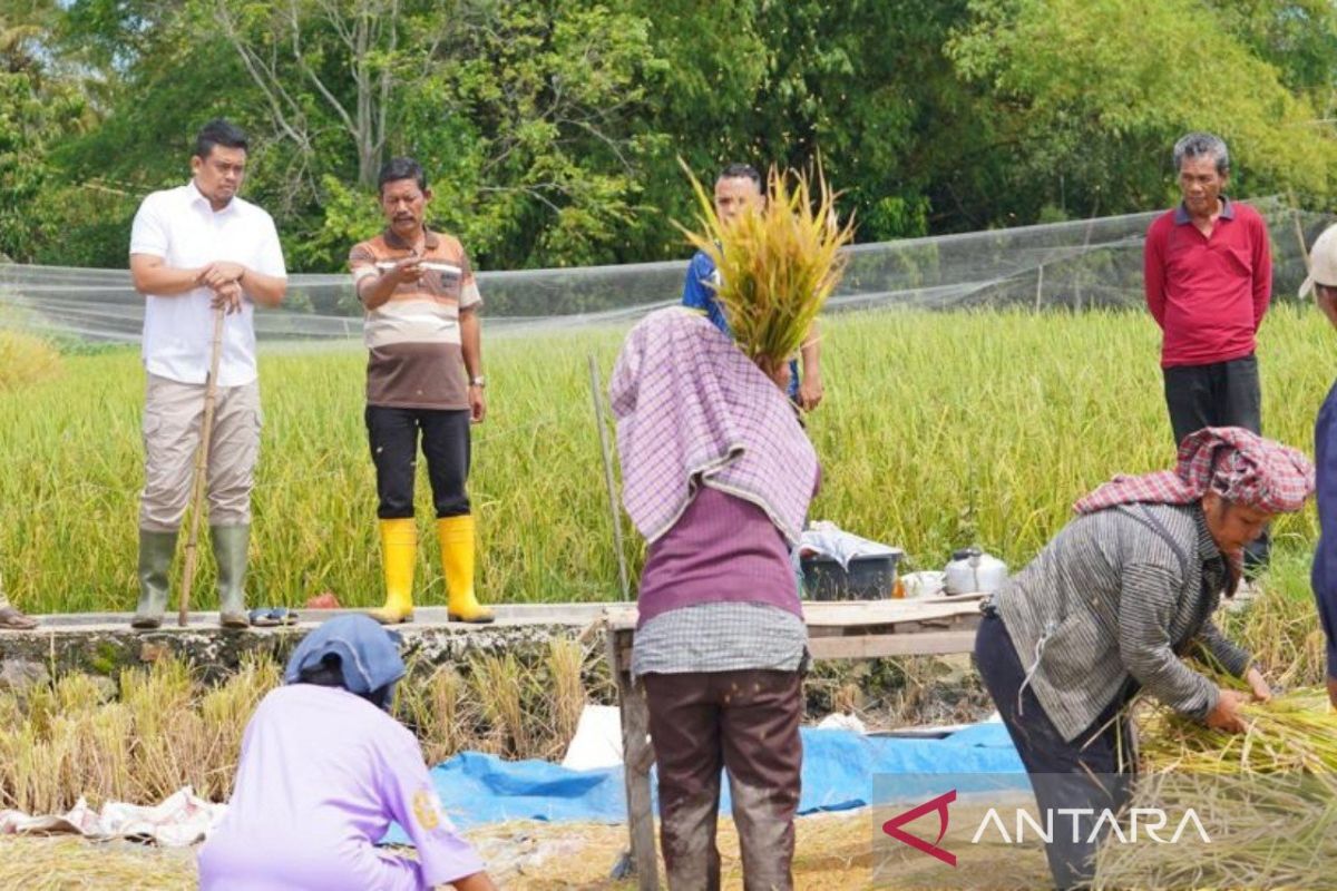 Titik terakhir kampanye di Toba, Bobby jawab tiga keluhan warga