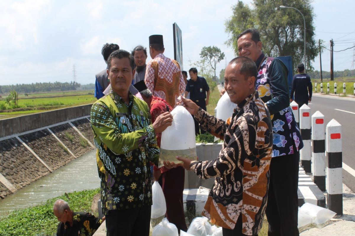 DKP Kulon Progo serahkan 10.000 benih ikan ke Anom Mina Lestari