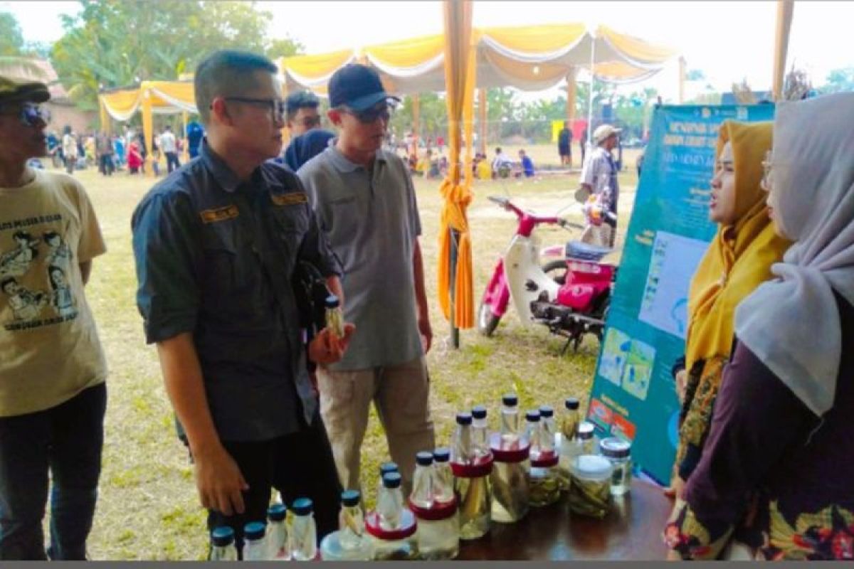 Dosen Unja kenalkan ikan endemik di KCBN Muaro Jambi saat Festival Bekarang Lopak Sepang