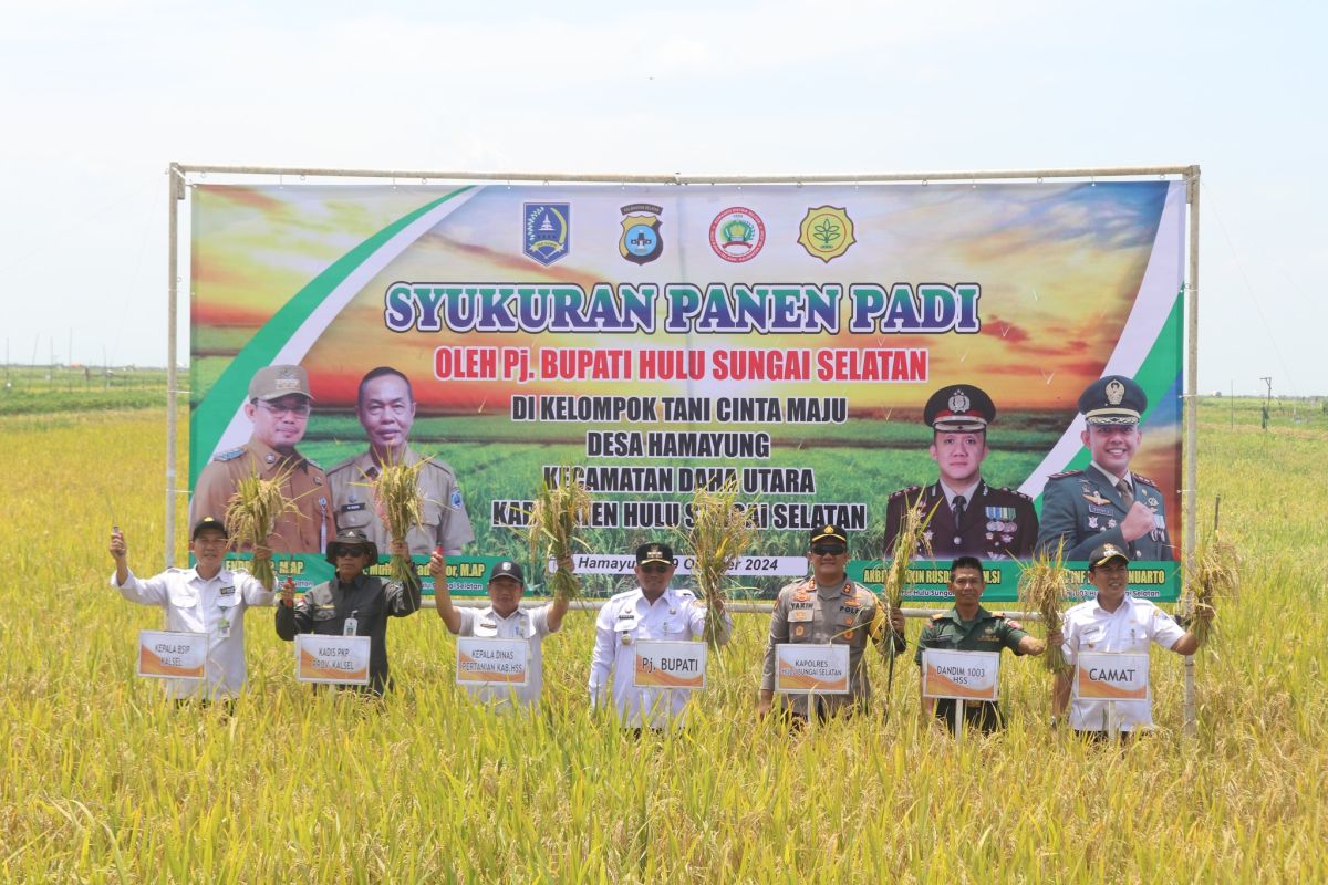 Poktan Cinta Maju Hamayung Daha Utara syukuran panen bersama pj bupati