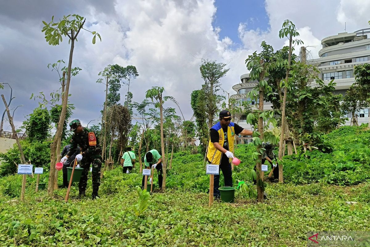 BPPW Kaltim gandeng pemuda  galakkan tanam pohon demi restorasi hutan IKN