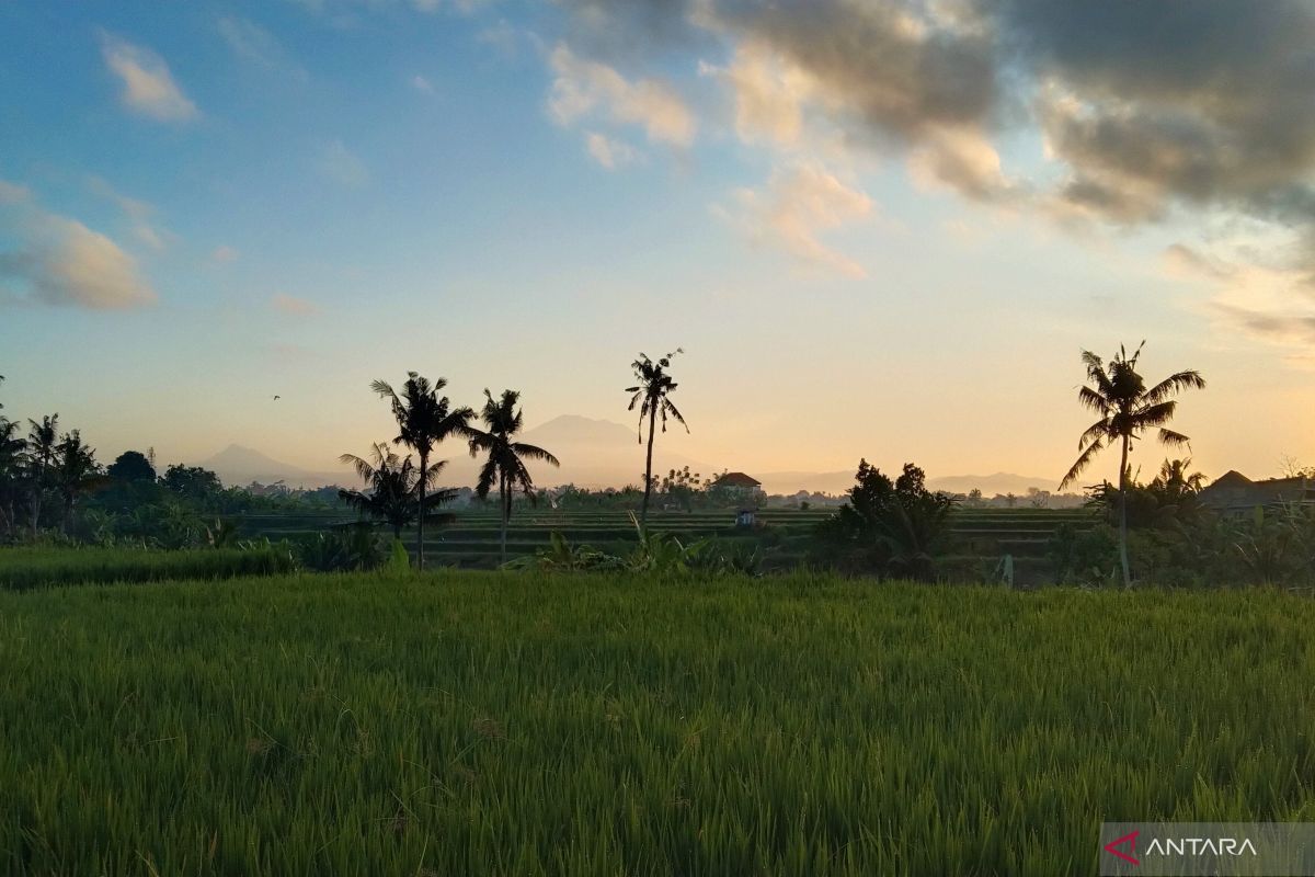 BBMKG perkirakan puncak musim hujan di Bali pada Desember 2024