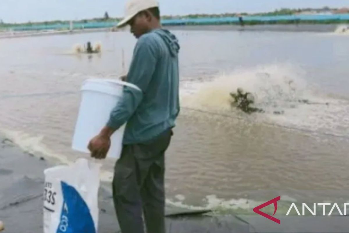 Dinas dorong pembudidaya ikan Karawang agar miliki sertifikasi CBIB-CPIB