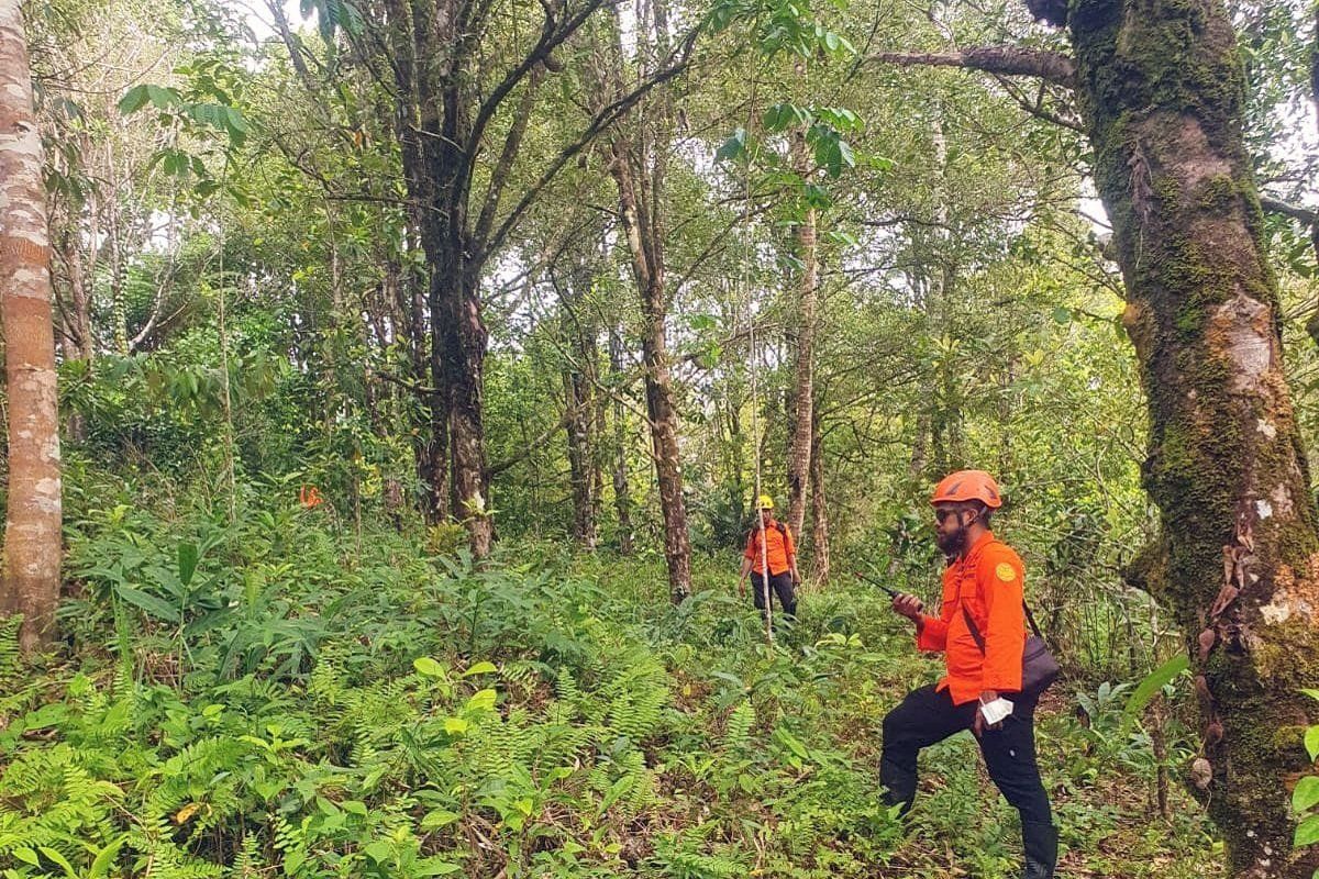 Operasi SAR belum temukan wanita tua hilang di hutan  Wanat