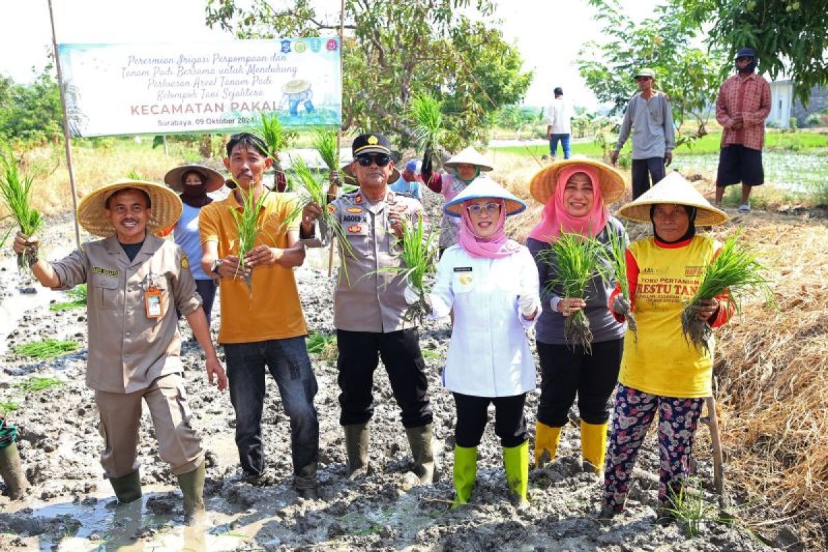 Pemkot Surabaya dan Kementan RI resmikan pompa irigiasi untuk sawah