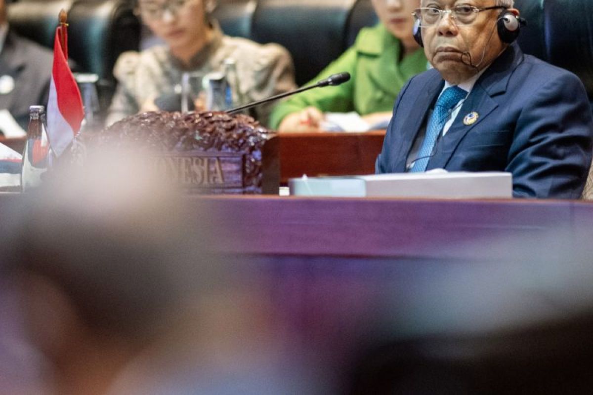 VP Amin pushes for effective ASEANAustralia agreement implementation