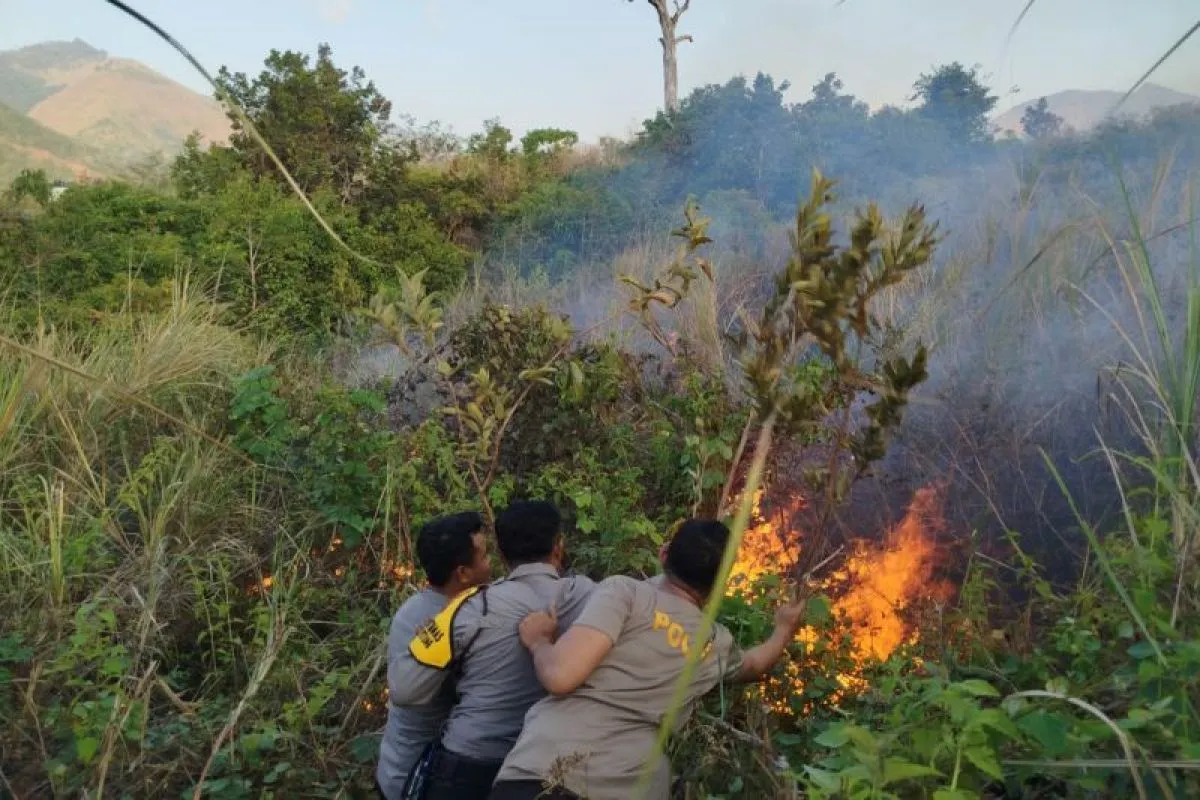 Alhamdulillah!! Kebakaran lahan di kawasan Gunung Rinjani Lombok telah padam