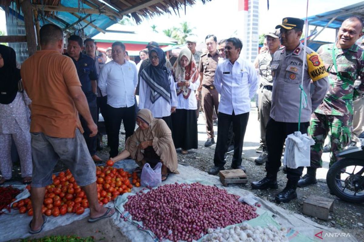 Pemkab Nagan Raya sidak pasar tradisional jaga stabilitas harga