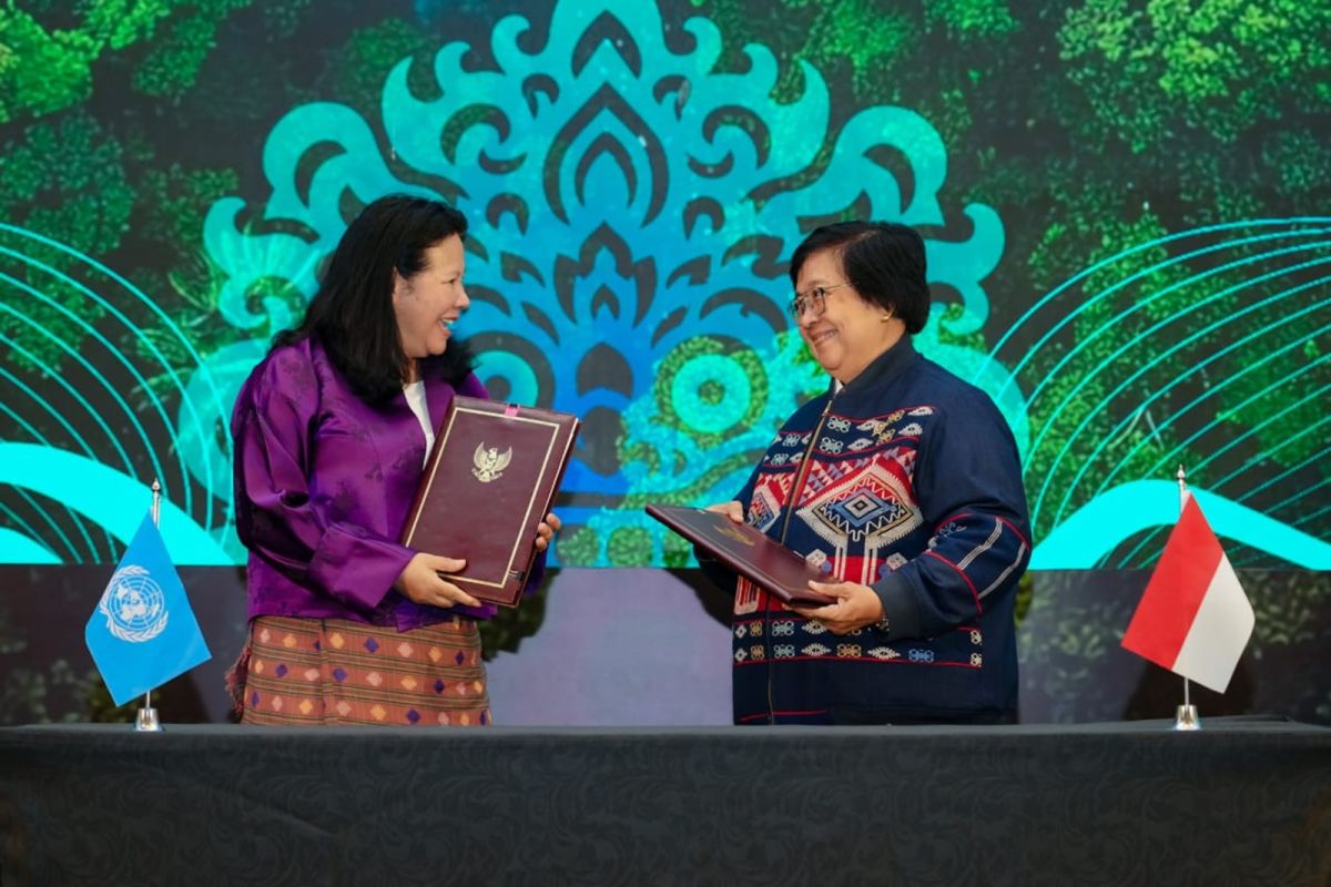 Indonesia, UNEP establish cooperation in environment, forestry