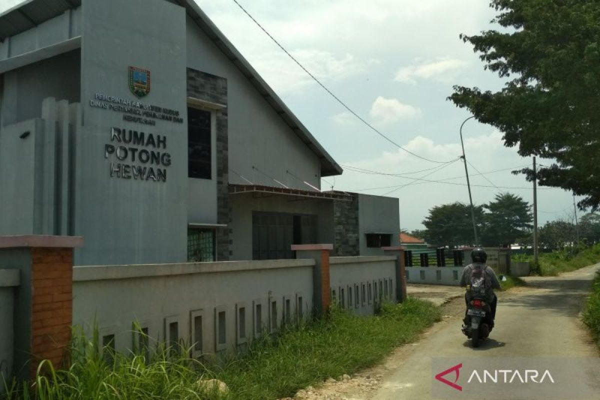 Dispertan Kudus dampingi  rumah potong hewan urus sertifikat halal