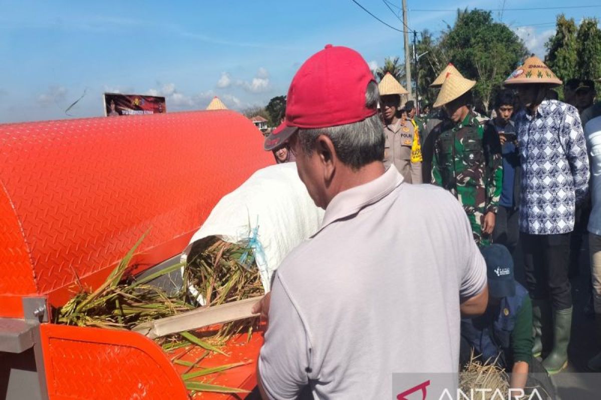 Produksi padi Sleman Januari-September 178.899 ton