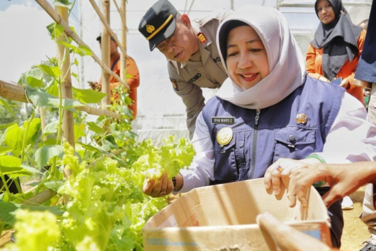 Pemkab Trenggalek galakkan program P2L untuk bangun ketahanan pangan