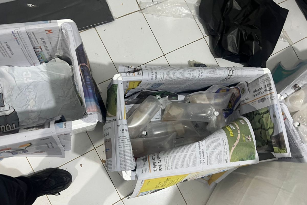 TNI AL gagalkan 85.000 benih lobster ilegal di Banyuwangi