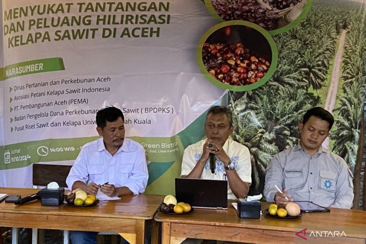 Ini alasannya kenapa petani sawit di Aceh perlu percepat sertifikasi ISPO