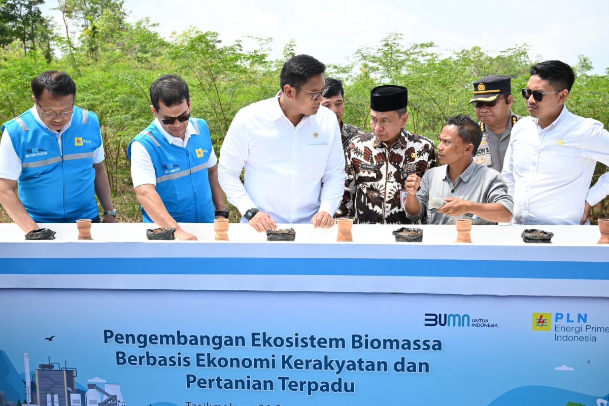 PLN-Kementan luncurkan model Pertanian Terpadu kembangkan bahan Co-Firing Biomassa