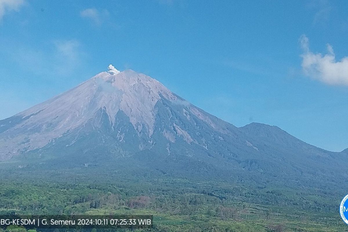 Gunung Semeru  erupsi dengan letusan setinggi 400 meter