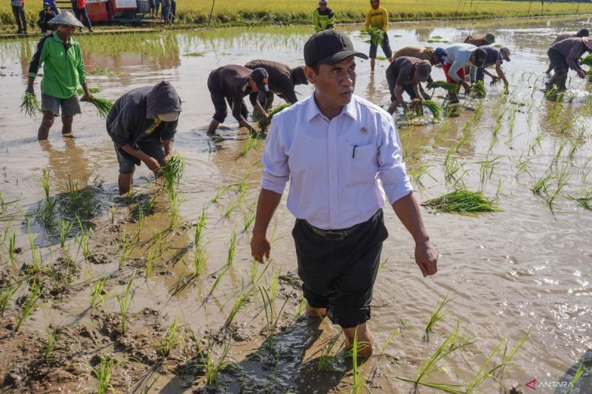 Minister commits to achieving food self-sufficiency in Indonesia