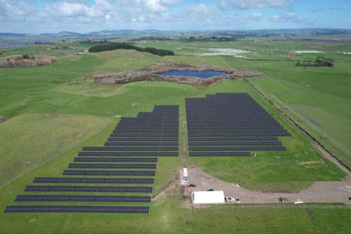 Trinasolar Berkolaborasi dengan Kiwi Solar dan Trilect untuk Meluncurkan Proyek "Agrivoltaics" Pertama di Waikato