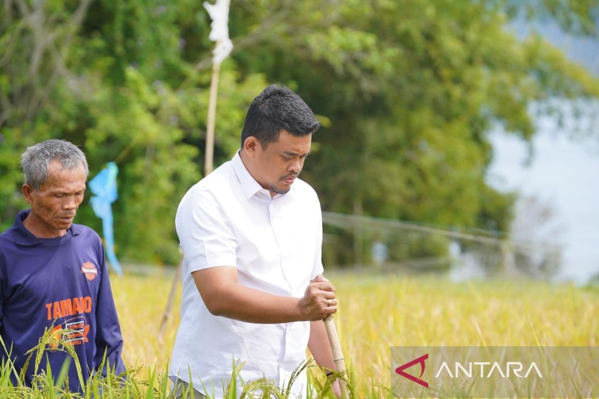 Bobby Nasution akan berikan keadilan masyarakat kecil di Sumatera Utara